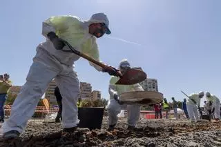 Simulacro en la Playa de la Almadraba: Más de 200 Efectivos ensayan una Intervención por el derrame de 3.000 toneladas de fuel en Alicante
