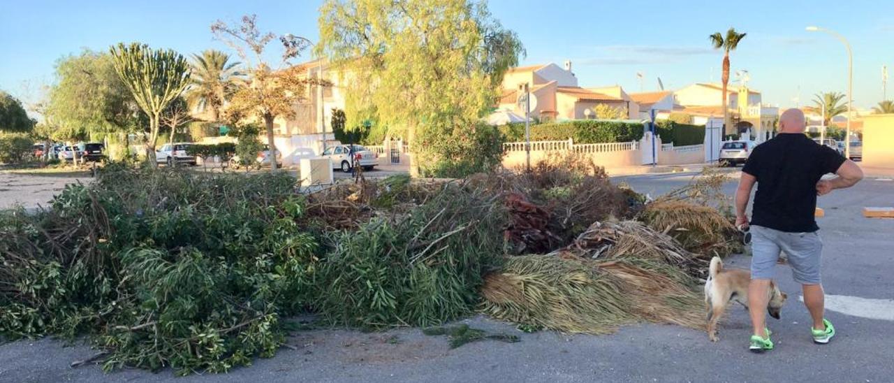 La acumulación de restos vegetales en la vía pública es muy habitual en Orihuela Costa, sobre todo en verano.