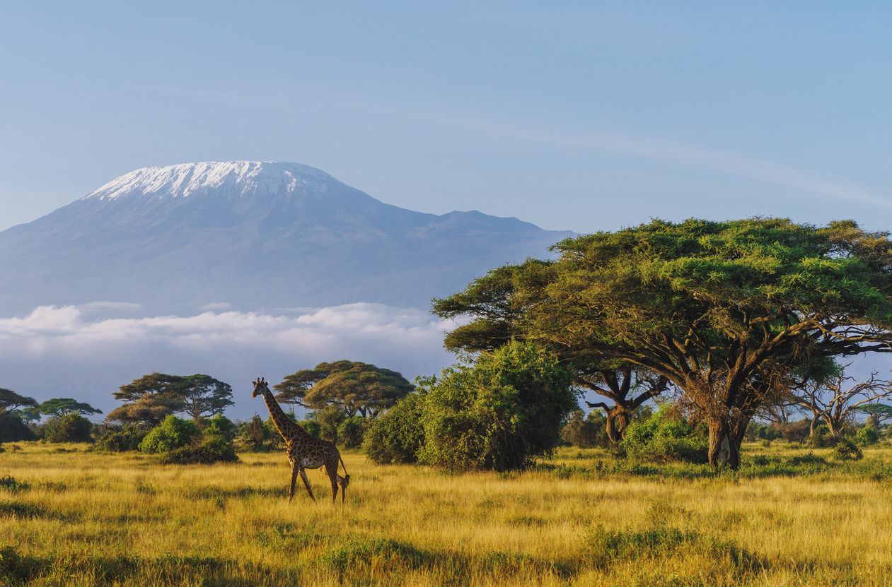El Parque Nacional de Amboseli tiene el Monte Kilimanjaro como telón de fondo