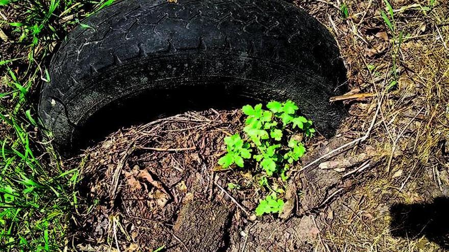 Protestan por la basura en el Camino de Invierno en Río