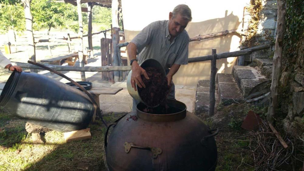 Festa da Malla en O Grove