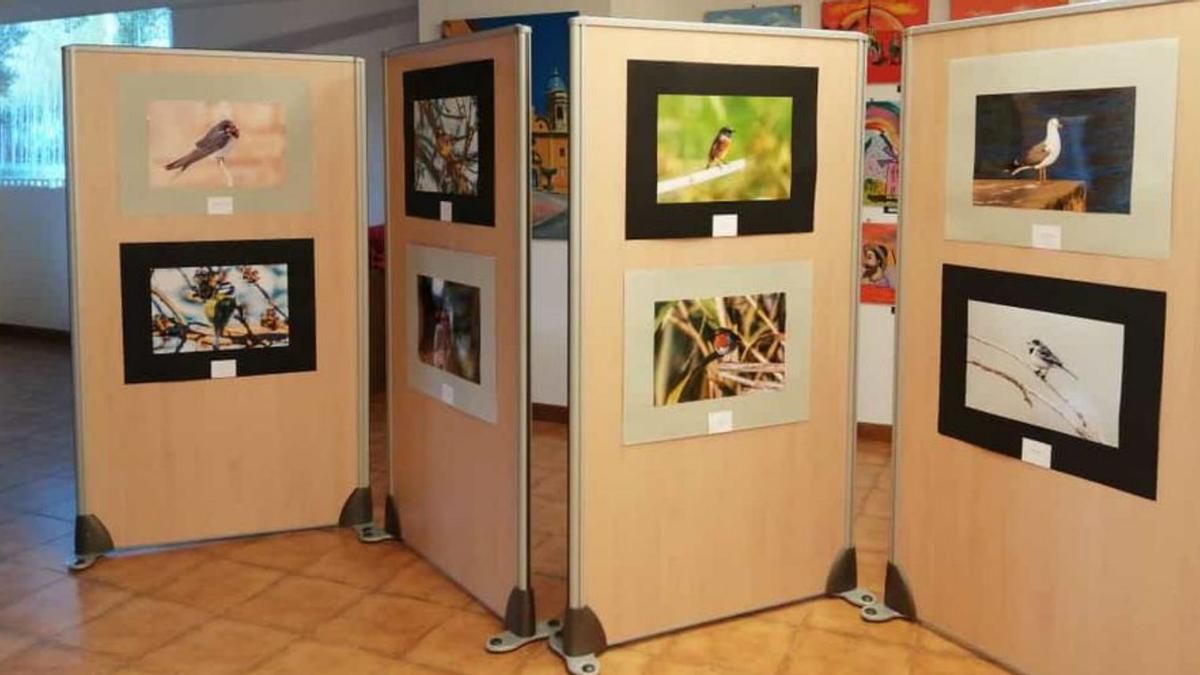 Exposición fotográfica que se puede visitar durante este mes. | SERVICIO ESPECIAL