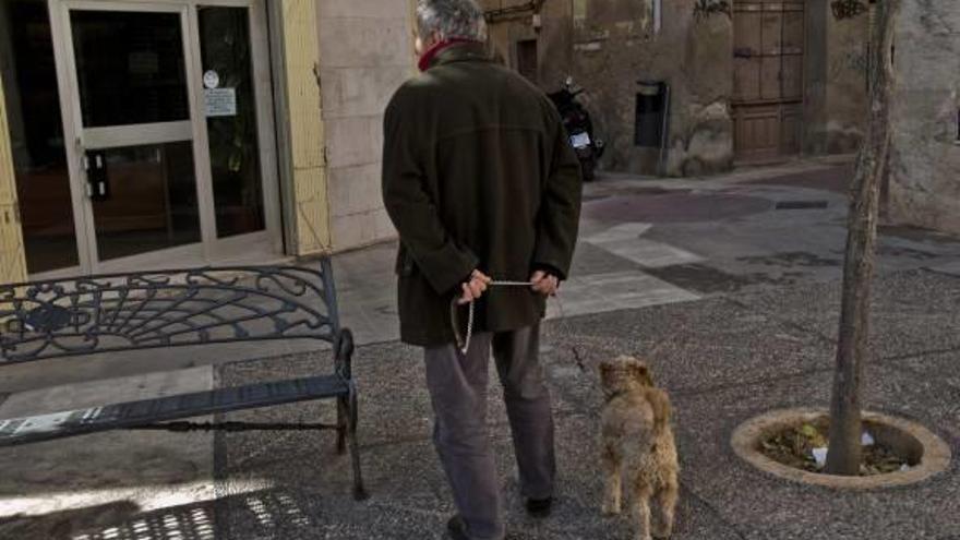 El PP renuncia a parte de la ordenanza de perros para ahorrar costes al consistorio