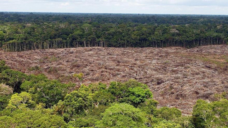 La actividad humana ha degradado casi el 40% de la Amazonía en menos de veinte años