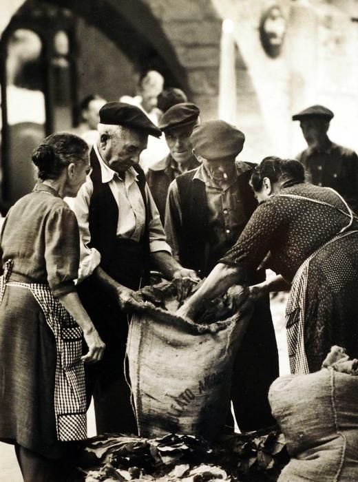 El mercat de Banyoles al detall