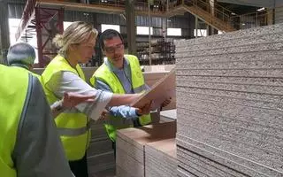 Finsa invertirá 75 millones en la ampliación de sus plantas de Cella