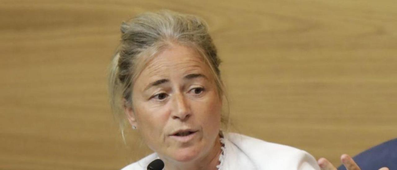 Alicia Vallina, ayer, en el Colegio de  Abogados de Oviedo. | FERNANDO RODRÍGUEZ