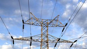 Les grans elèctriques demanaran retardar el tancament de les nuclears