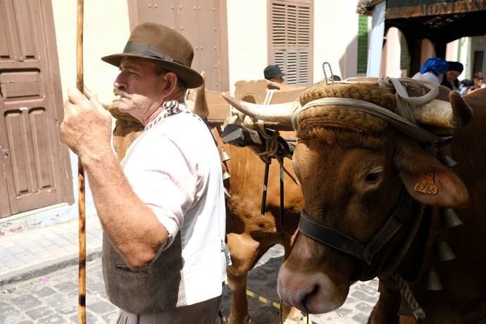 Santa María de Guía.  Procesión y romería de Las Marias  | 15/09/2019 | Fotógrafo: José Carlos Guerra