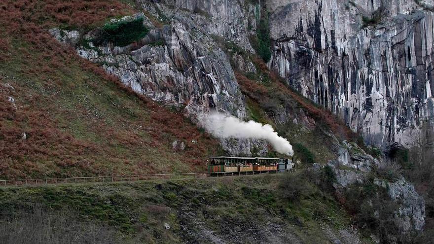 Una imagen del tren turístico proyectado para la zona y que los vecinos rechazan.