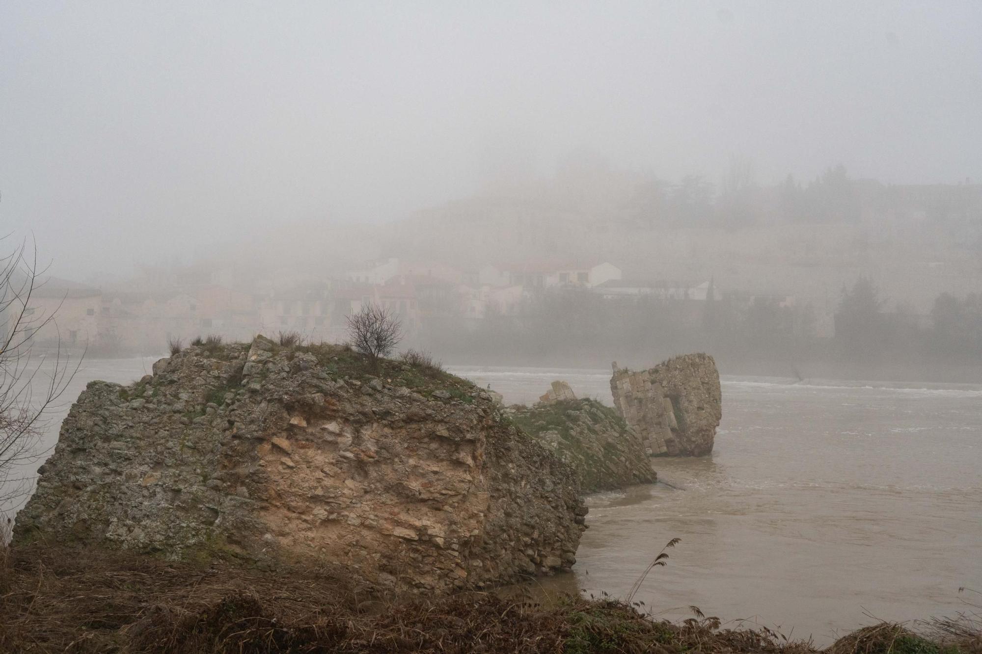 Las mejores imágenes que ha dejado la niebla de hoy en Zamora