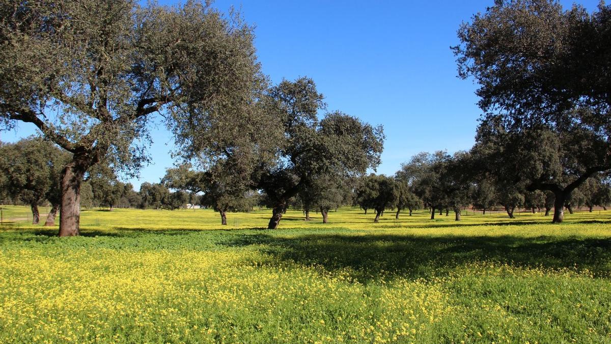 100.000 millones para restaurar espacios naturales en la UE