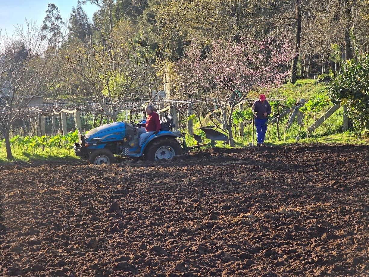 Arousanos aprovechando el buen tiempo para preparar sus tierras de cultivo.