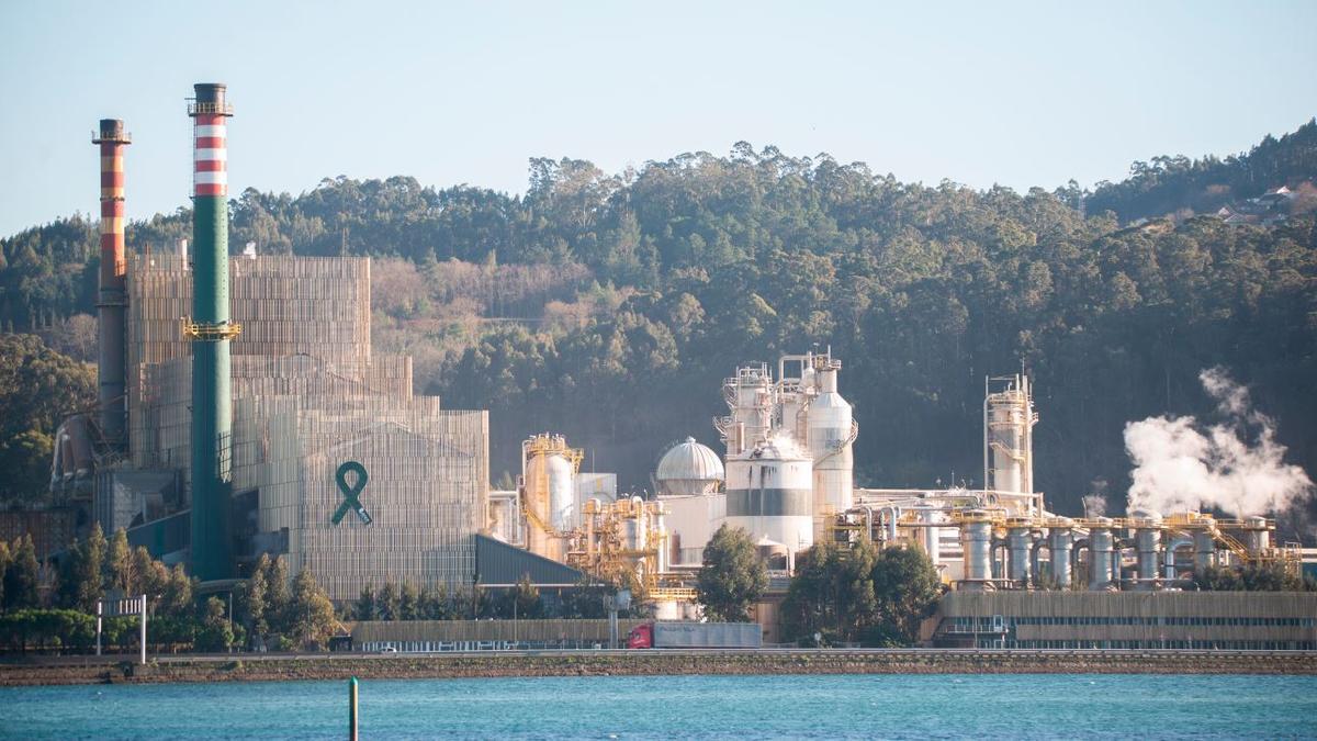Fábrica de Ence en Pontevedra.