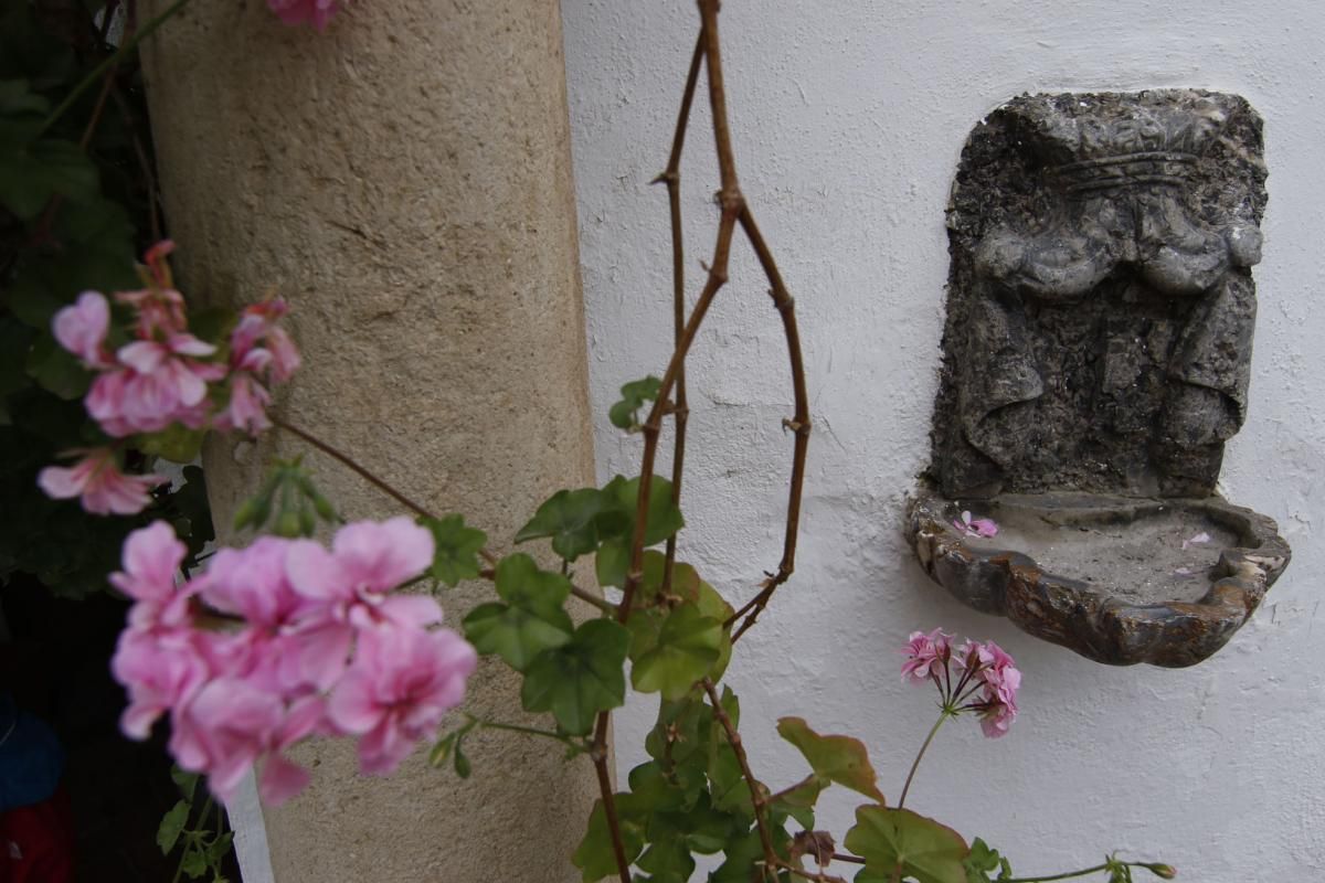 Los patios de Viana se abren a los visitantes del Mayo cordobés