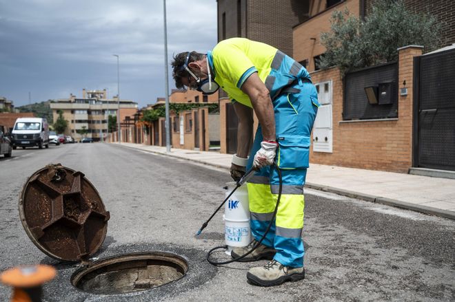 Campaña de desratización y control de plagas en Cáceres