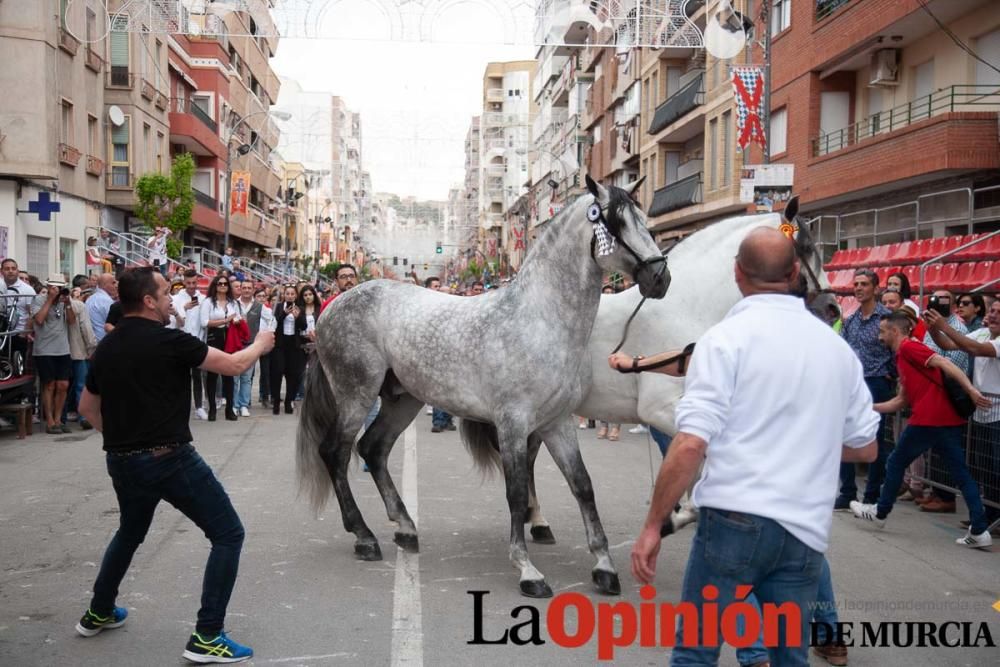 Caballos del Vino: Concurso morfológico (salida Pl