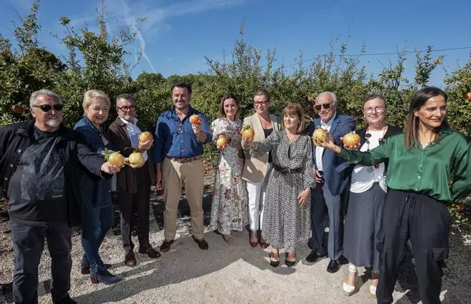Inicio oficial de la campaña de la Granada Mollar de Elche