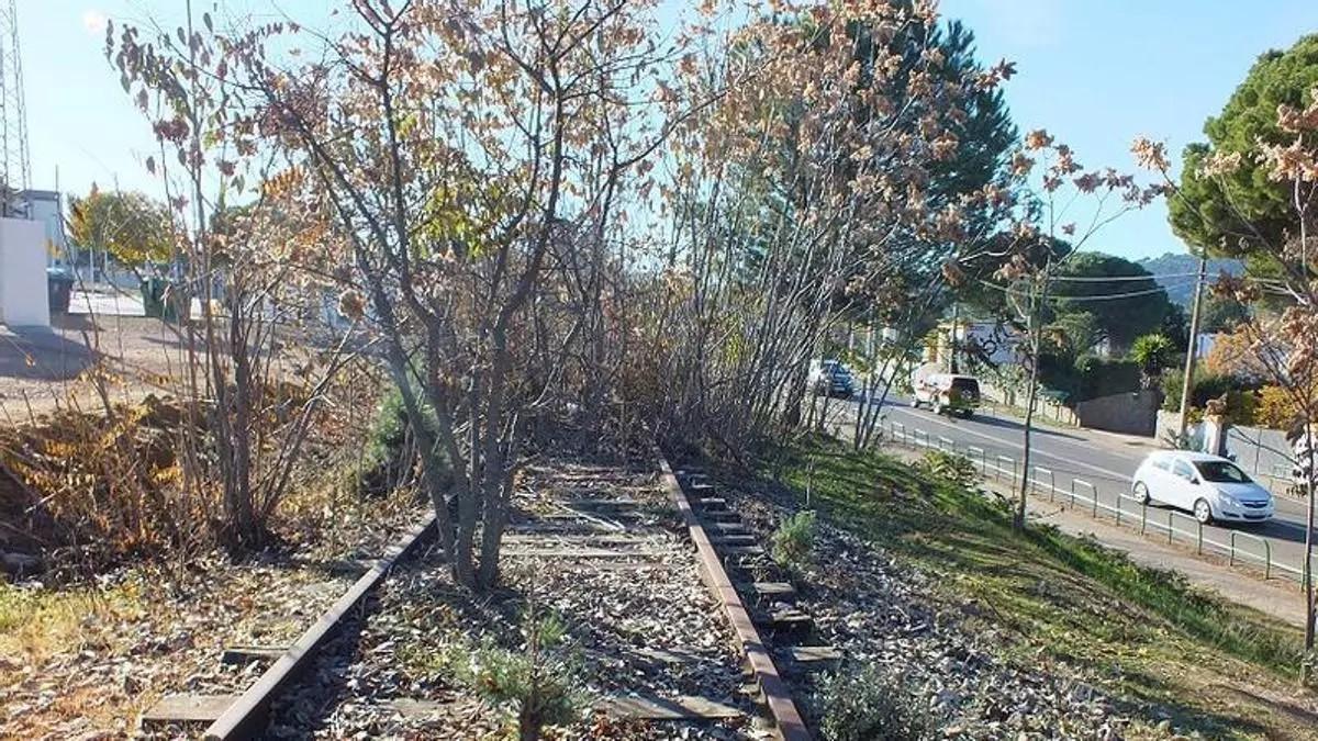 Estado de abandono de uno de los tramos en la vía Córdoba-Almorchón.