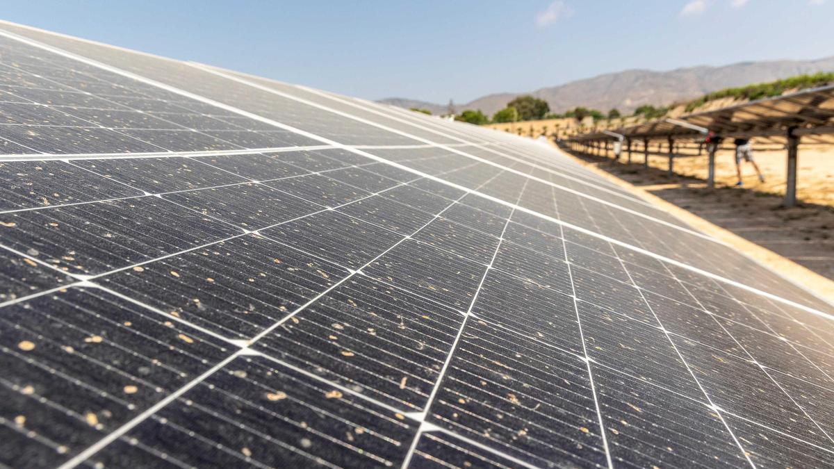 Una planta solar en la provincia de Alicante.