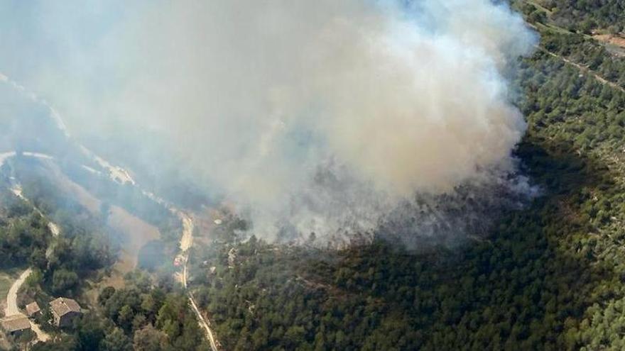 Les flames s'estan desenvolupant a tocar del parc eòlic de la zona.