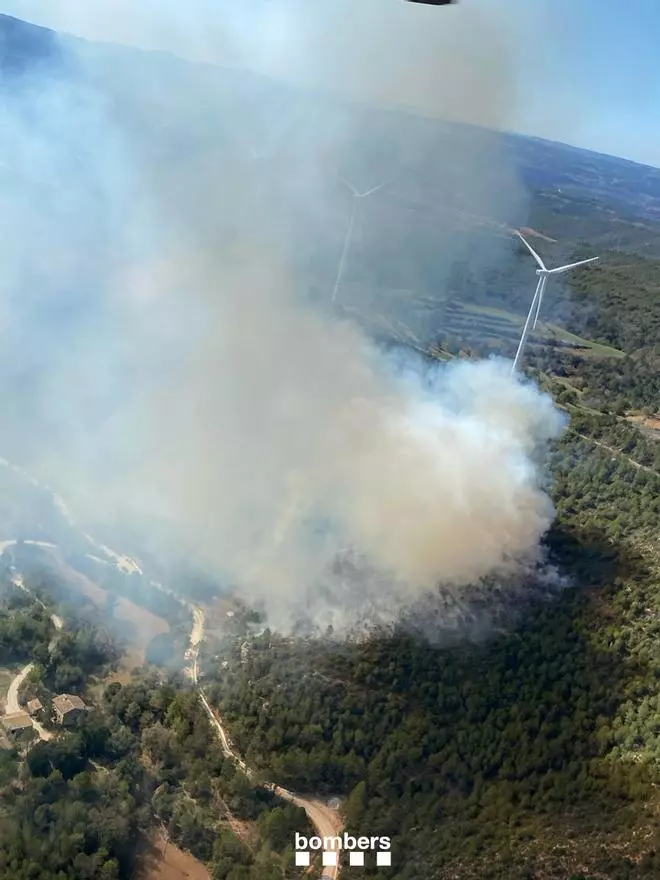 Vídeo | Un incendi crema 2 hectàrees a Rubió