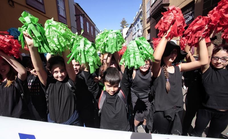 Sardina de la Inclusión, en La Laguna | 04/03/2020  | 04/03/2020 | Fotógrafo: María Pisaca Gámez