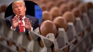 Donald Trump pide ayuda a Europa por la crisis de huevos en EE. UU.