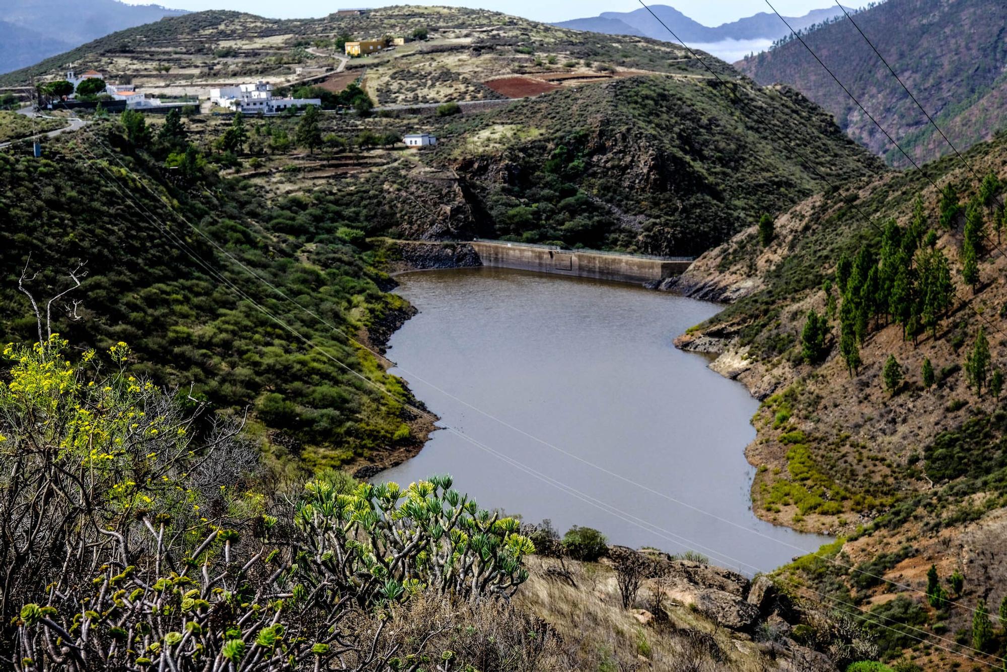 Estado de las presas en Gran Canaria