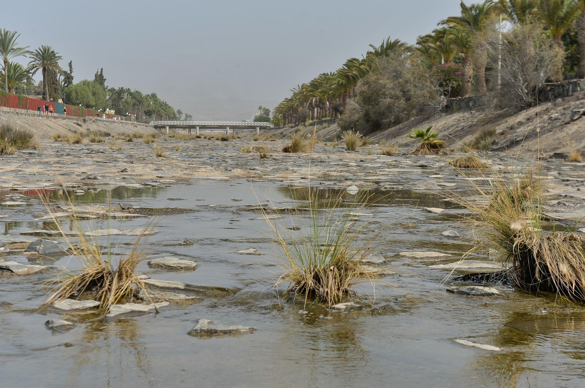 La Charca de Maspalomas después del ciclón Hermine