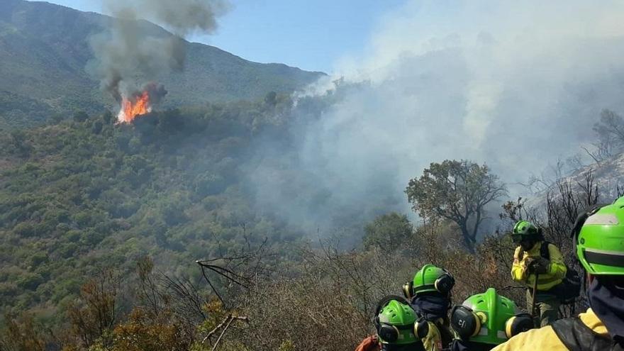 Regresan a sus casas unos 2.000 desalojados del incendio de Estepona