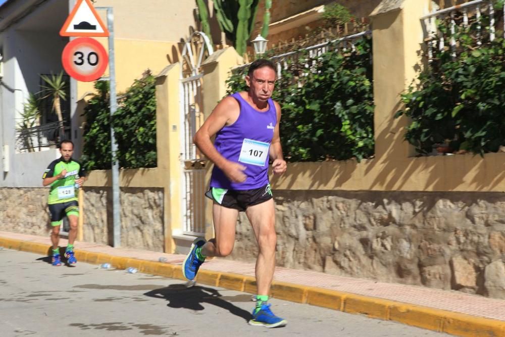 Carrera Virgen del Rosario de Barinas