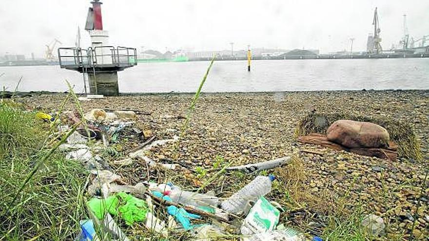 Restos de basura en la charca de Zeluán.