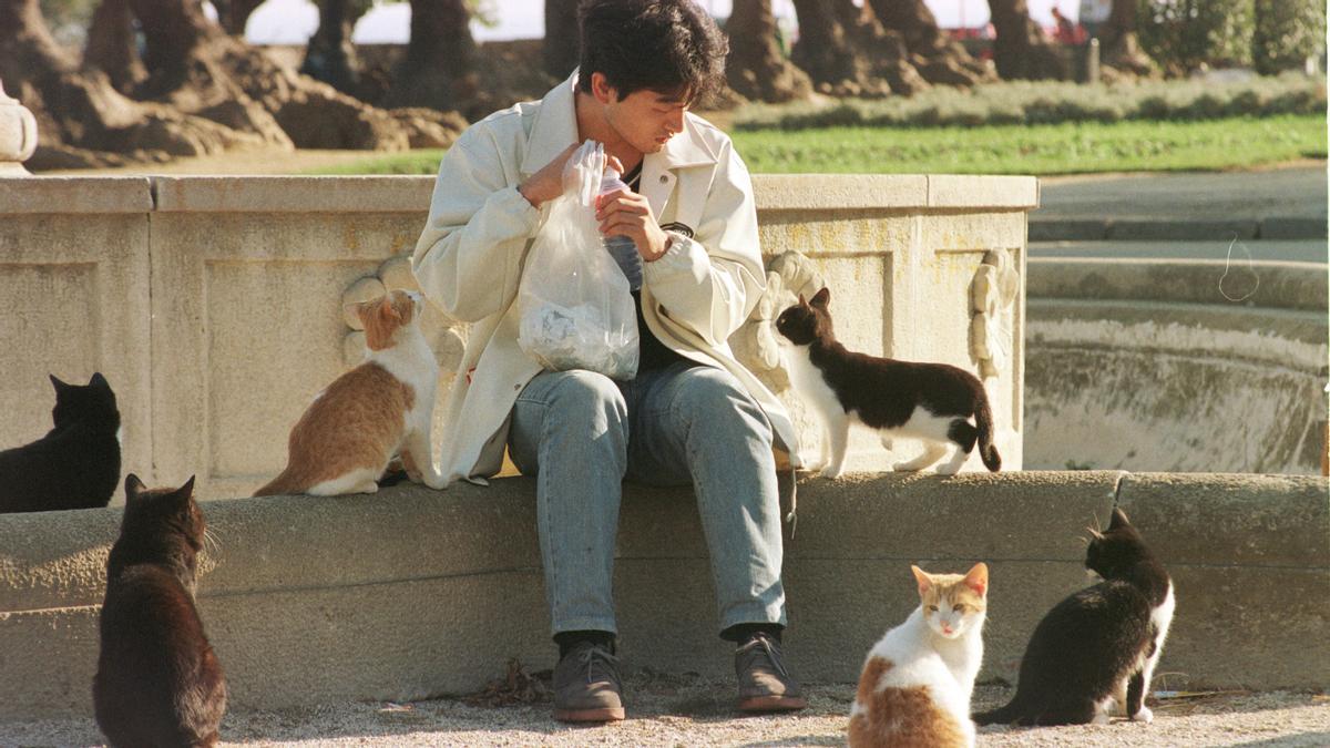 Un turista intenta comer, sin éxito, en uno de los miradores de Montjuïc, en el 2001