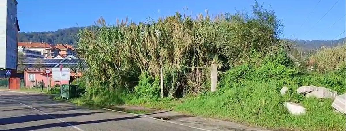 Leticia Santos y Rego (centro) con ediles del BNG en los terrenos. | SANTOS ÁLVAREZ