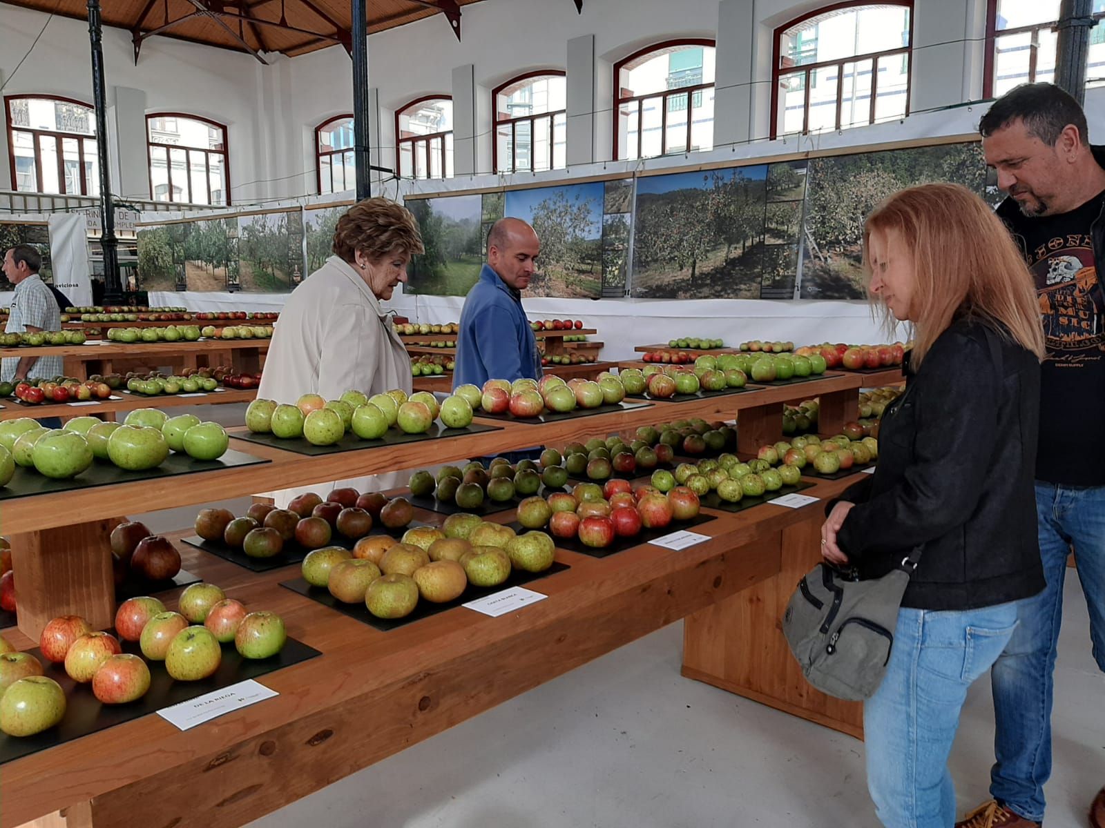 Villaviciosa abre el Festival de la Manzana: la primera mañana de actividades, en imágenes