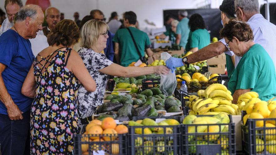 Fiebre del oro verde en Mogán