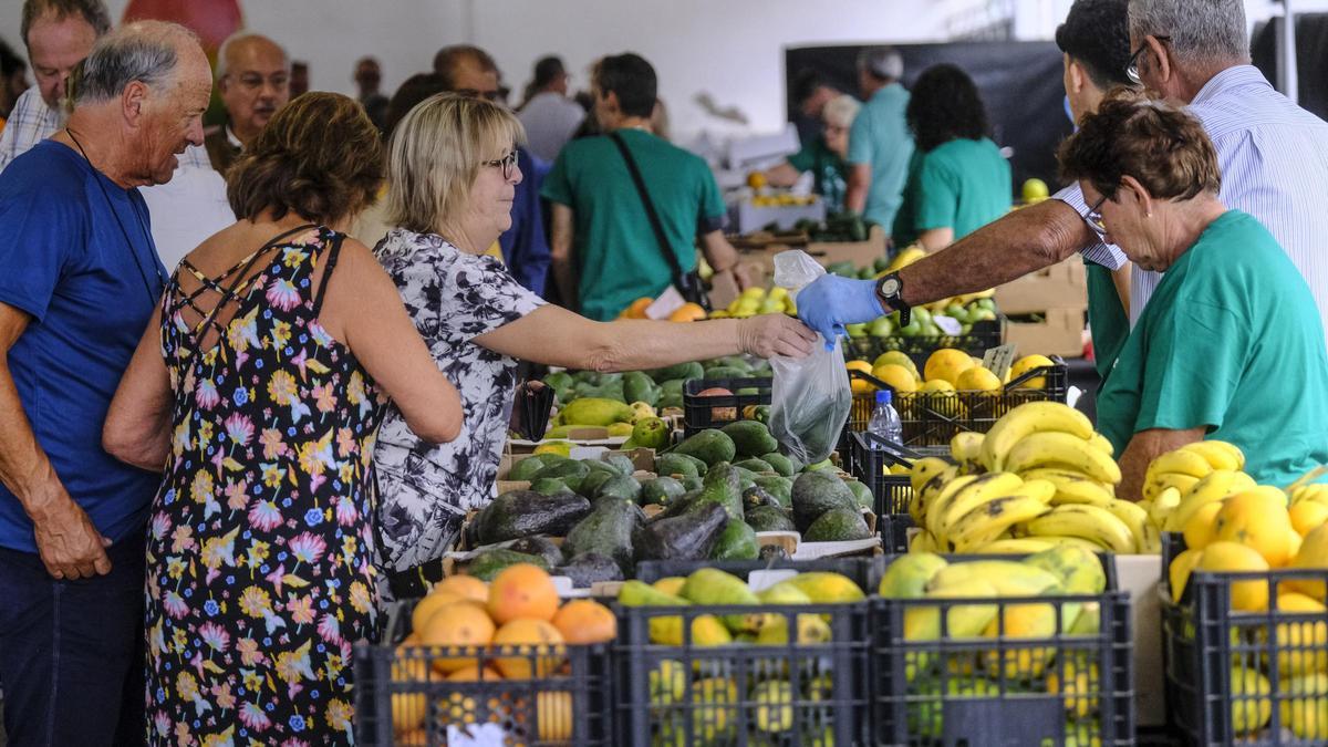 Feria del aguacate de Mogán