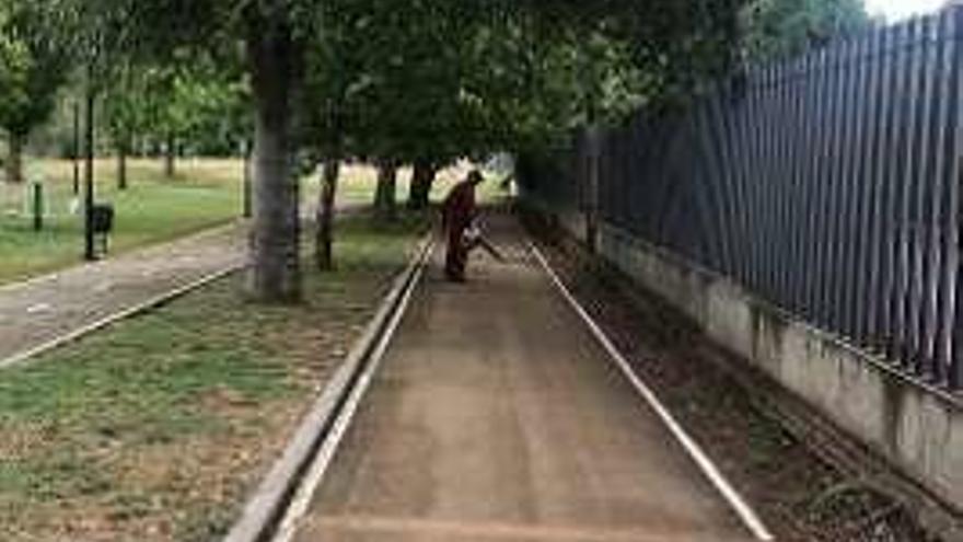 Un jardinero trabajando.