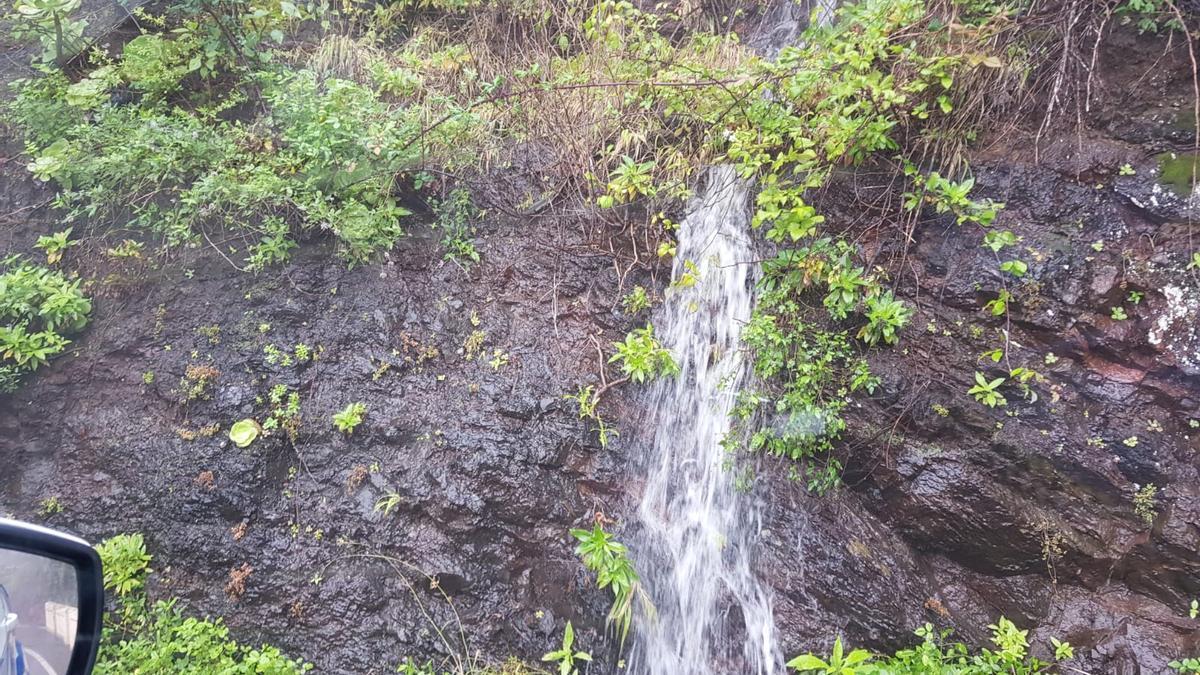 Efectos de la lluvia en Anaga, en Tenerife.