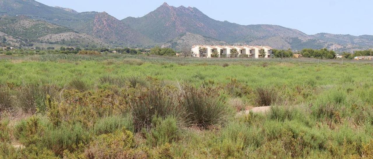 Terrenos sobre los que se asentaba el PAI Benicàssim Golf, anulado por el Supremo, en la zona sur del municipio.