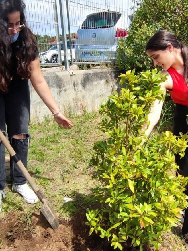 Plantación de especies autóctonas.