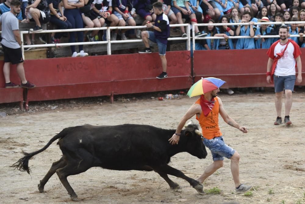 Vaquetes de Santpedor 2018