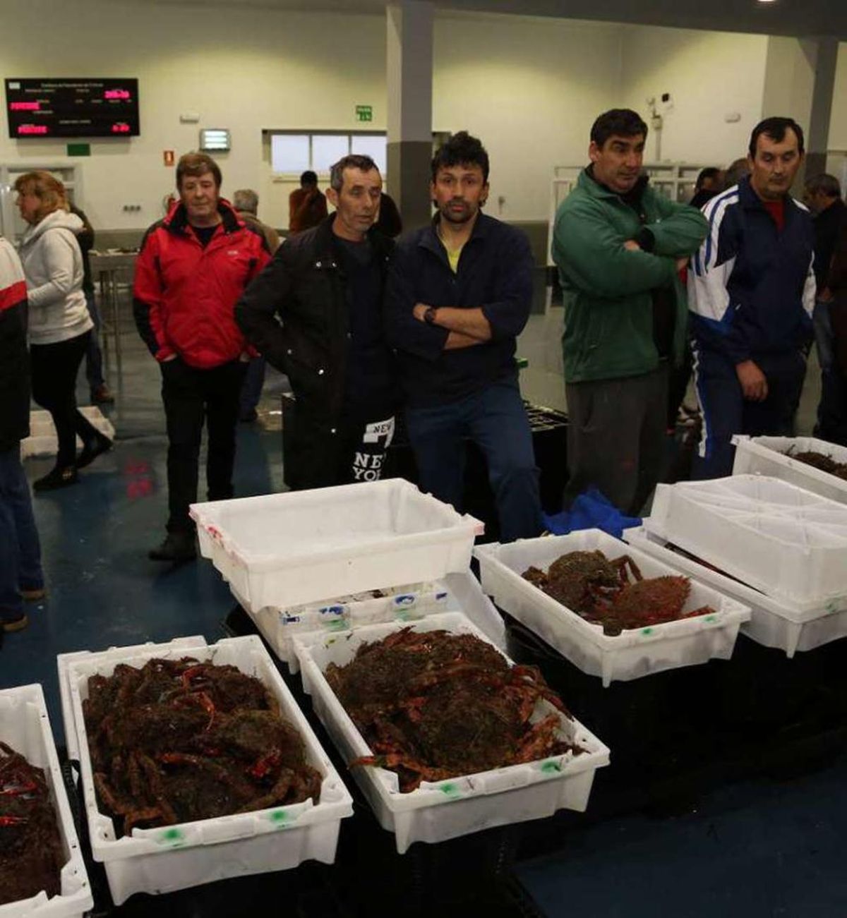 Gardacostas intensifica la presión contra un furtivismo que se agrava en Navidad