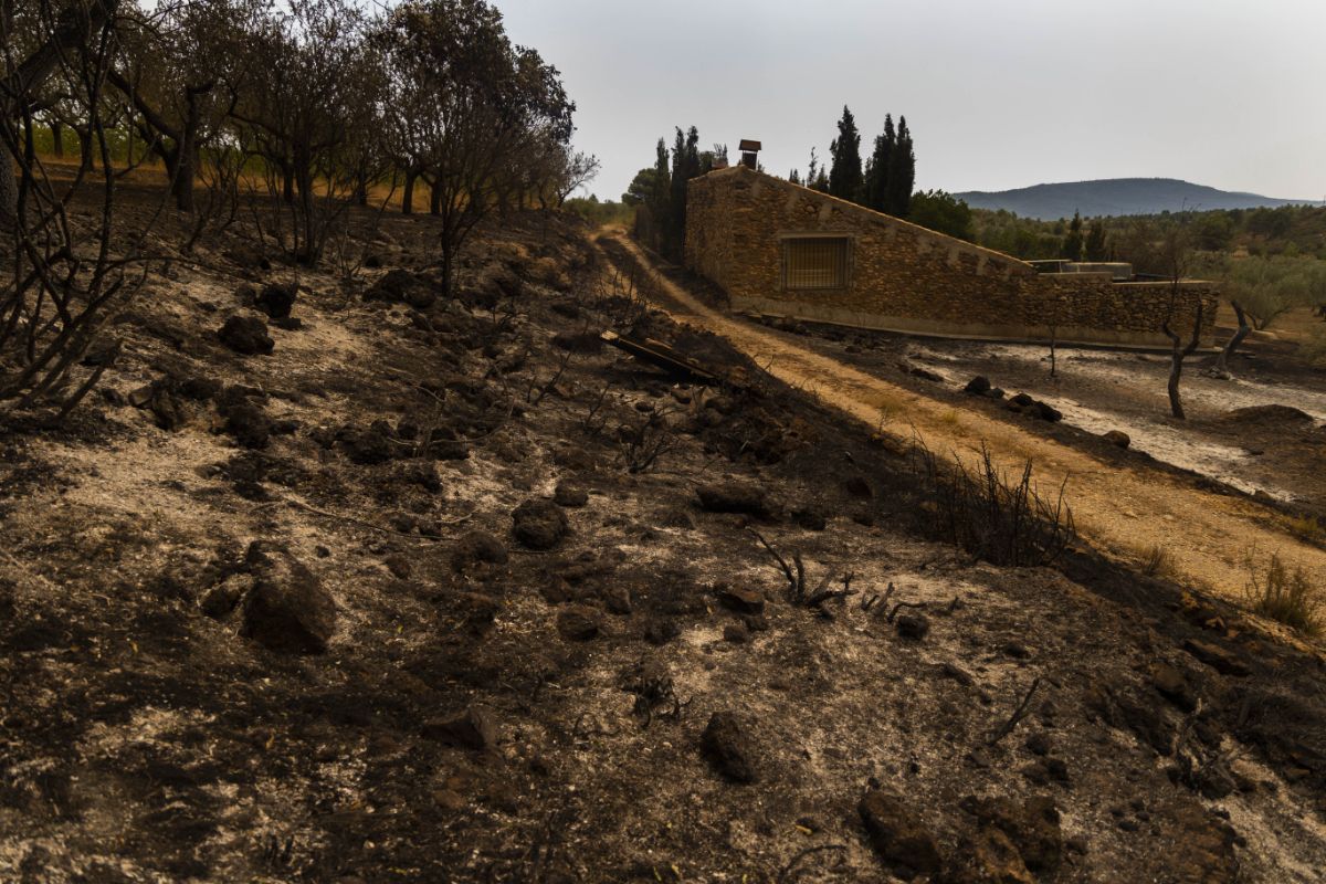 El incendio de Bejís, en imágenes