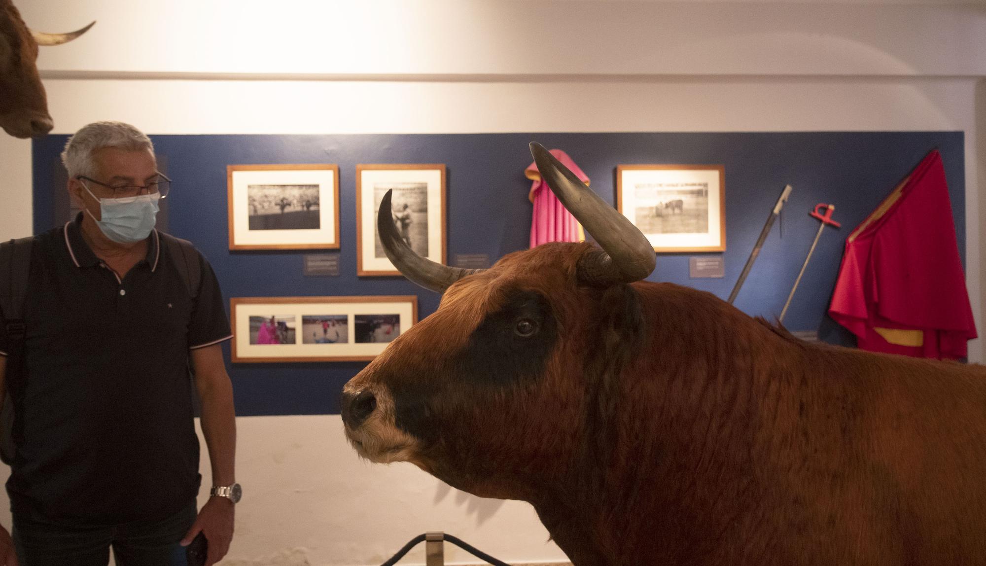 Un paseo por las entrañas del Museo Taurino de València