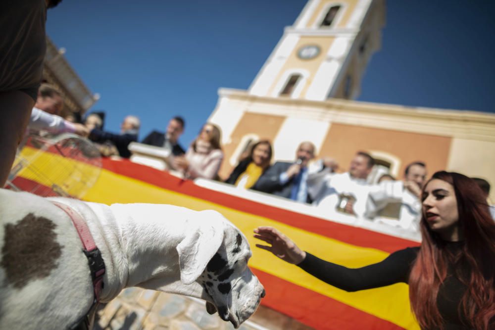 Cartagena celebra San Antón