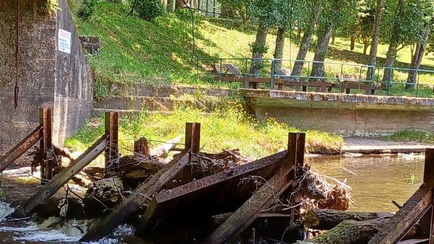 Maleza atrapada en los pilares de las compuertas.
