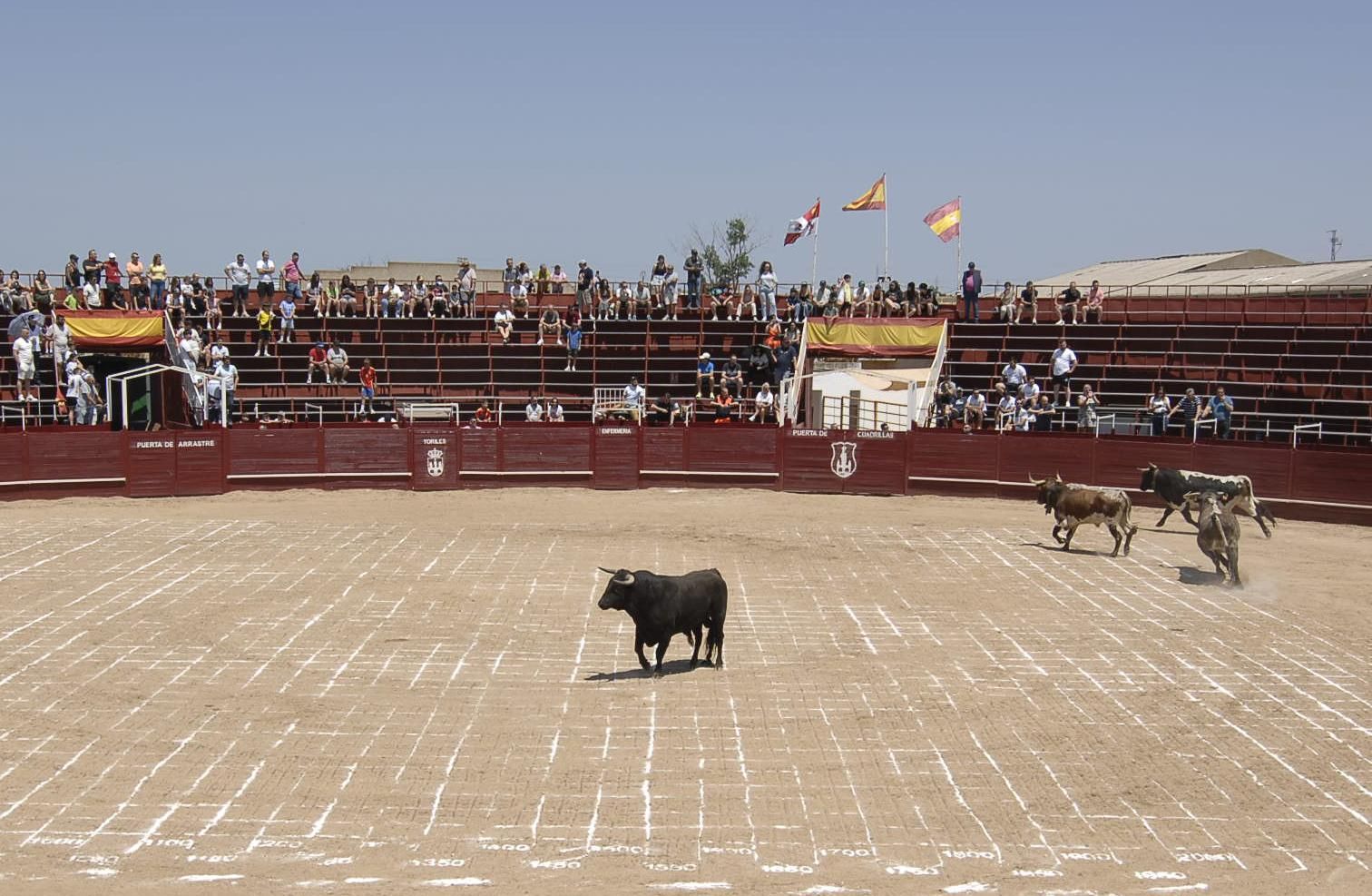 GALERÍA | El carretón Imperioso y la cagada de la suerte