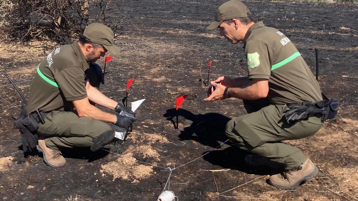 Agentes Medioambientales durante la investigación de un incendio forestal